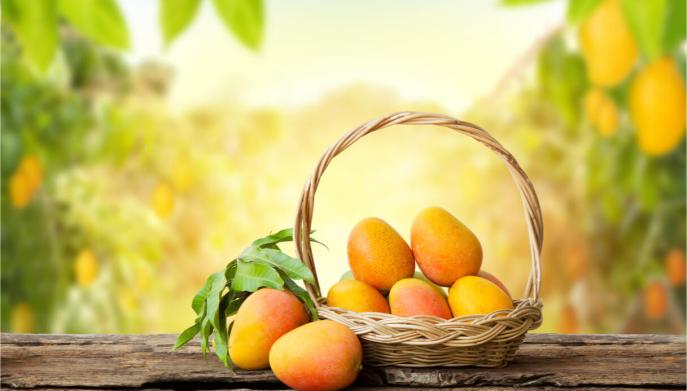Cómo cultivar una planta de mango a partir de semillas